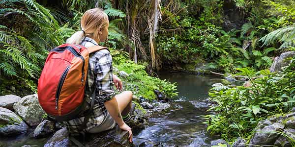 Bushwalking Merimbula